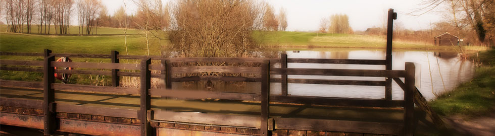Botley Park Hotel and Spa outside bridge